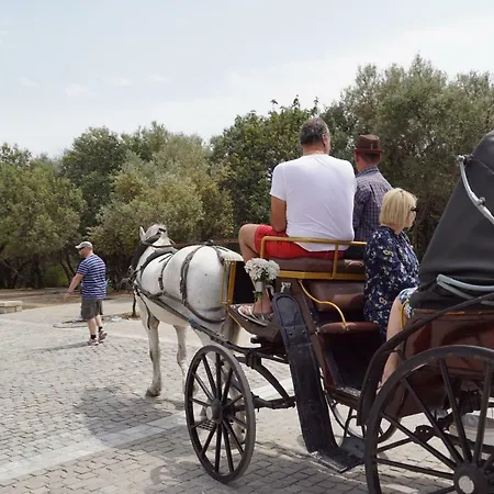 ★ Plaka, Center Of Greek Legends ★ * Athens